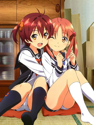 Vividred Operation