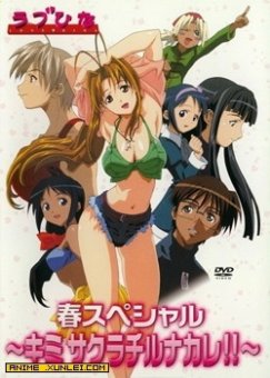 纯情房东俏房客 OVA