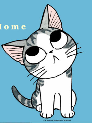 甜甜私房猫