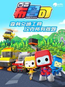 百变布鲁可DVD
