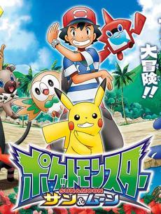 宠物小精灵日月封面