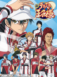 新网球王子tv版