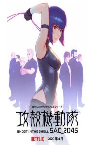 攻壳机动队：SAC_2045